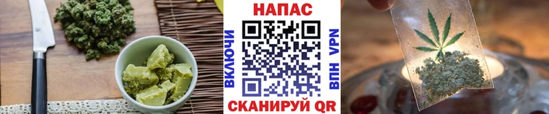 Купить  Зима  Canna-Cookies конопля 